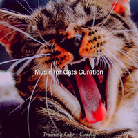 Uplifting (Music) - Music for Cats Curation