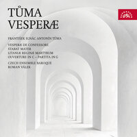 Partita in G Minor: II. Allegro - Czech Ensemble Baroque & Roman Valek