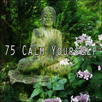 Личная жизнь - Meditação Yoga