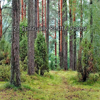 Пораженный мудростью - Sounds of Nature White Noise for Mindfulness Meditation and Relaxation