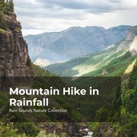 Raining in the Ridges - ASMR Rain Sounds & Rain Sounds Nature Collection & Sleepy Rain