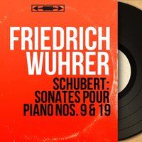 Sonate pour piano No. 19 in C Minor, D. 958: IV. Allegro - Friedrich Wührer & Франц Шуберт