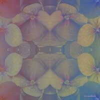 Spectrum - Evo Auxilium