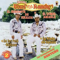 El Trailero - Voces Del Rancho
