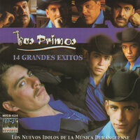 Que Te Ha Dado Esa Mujer - Los Primos de Durango