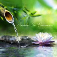 Şifa Yansımaları - Gevşeme Meditasyon Akademisi