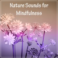Music for Relaxation - Sounds of Nature White Noise for Mindfulness