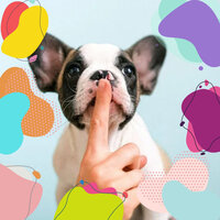 Background for Restless Puppies - Dog Music Zone