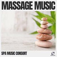 Soft Reflections - Spa Music Consort