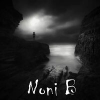 Nintendo - Noni B