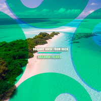 Bailando Felices - Organic Noise from Ibiza