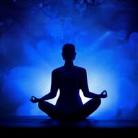 Pasos Sutiles En La Meditación - Flor de Loto & Espíritu Zen Meditativo & Música de chimenea