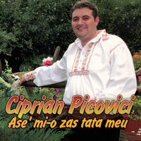 Banii Si Averile - Ciprian Picovici