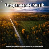 Gelöst in der Sonne - Entspannungsmusik Archiv & Schlafmusik & Entspannungsmusik