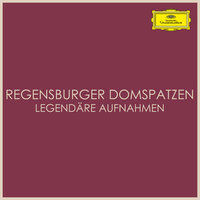 Schubert: German Mass, D.872 - Zum Agnus Dei: "Mein Heiland, Herr und Meister" - Franz Lehrndorfer & Die Regensburger Domspatzen & Regensburger Domchor & Bavarian Symphony Orchestra & Theobald Schrems & Франц Шуберт