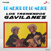 Dime Ingrata - Los Tremendos Gavilanes