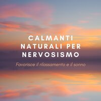 Una ninna nanna new age - Calming Music Academy