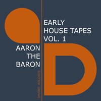 Cat on a Hot Tin Roof - Aaron The Baron & Stj