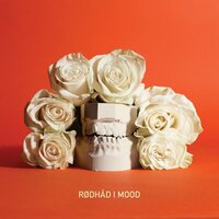I Wanted to Hold Her Close and Whisper in Her Ear That She‘d Be Fine - Rødhåd