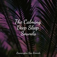 Summer Calm - Tranquility Spa Universe & Relax Meditation Sleep & Tinnitus