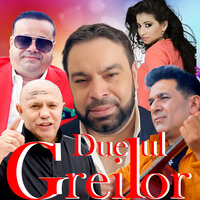 De ce plangi - Liviu Guta