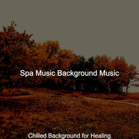 Phenomenal Shakuhachi and Guitars - Vibe for Body Wraps - Spa Music Background Music