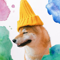 Funky Sleepy Pups - Music for Leaving Dogs Home Alone
