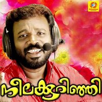 Kallipenne - Pradeep Palluruthy