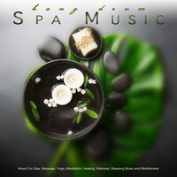 Soothing Spa Music - Hang Drum Music & Spa & Hang Drum