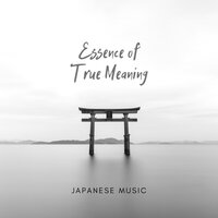 Unknown Truths - Relaxing Zen Music Therapy