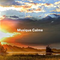 Raining - Musique Zen & Bouddha Musique Sanctuaire & Relaxation Détente