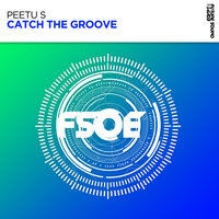 Catch The Groove - Peetu S