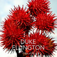 All Gods Chillun Got Rhythmn - Duke Ellington