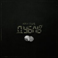 Железки - Kaktus 4K & SIMAGA