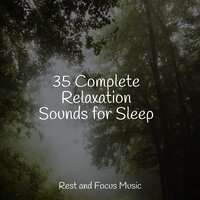 Dawn Dreaming Mist - Relaxing Nature Music & Yoga Soul & White Noise Sound Garden