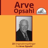 Skibladner - Arve Opsahl