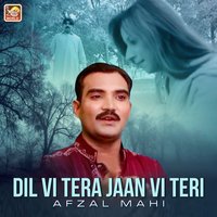 Tere Bin - Afzal Mahi
