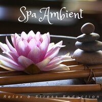 Bio Wellness - Meditation Music Guru & Meditation Guru & Meditation Guru & Meditation Music Guru