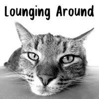 Chilled Ambience Sounds - Bobby Cole