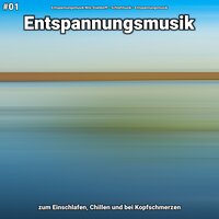 Entspannungsmusik Teil 50 - Entspannungsmusik Nils Stieldorff & Schlafmusik & Entspannungsmusik