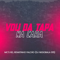 Vou da Tapa na Cara - DJ NegoBala 015 & MC RD & Mc Renatinho Falcão