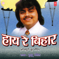Ane Ghotla Aane Hawla - Guddu Rangeela