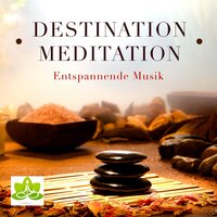 Mut - Wellness n Wellness