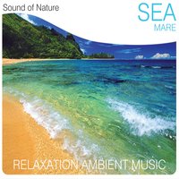 Sogno marino - Sound of Nature Band