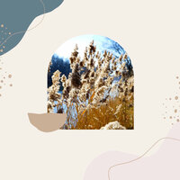 Trio Jazz Soundtrack for Slow Weekends - Peaceful Autumn Instrumental Jazz