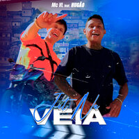 Jet na Veia - MC VL & Hugão