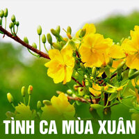 Bằng tên một loài hoa - Hồng Nhung