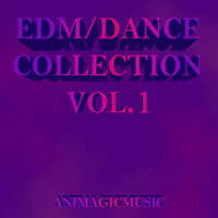 Flying to You - Animagicmusic