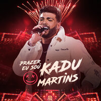 Deslizes - Kadu Martins