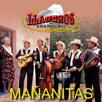 La Tumba de Mi Madre - Los Llaneros De Guamuchil